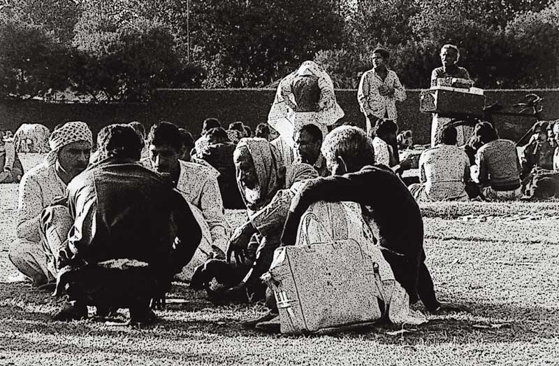 Kotarski Delhi Wiese