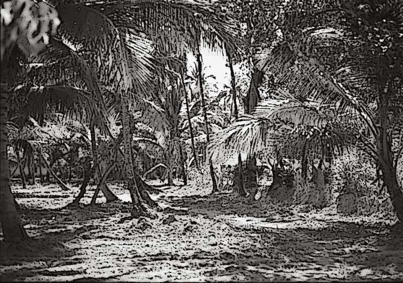 Kotarski Baga Anjuna