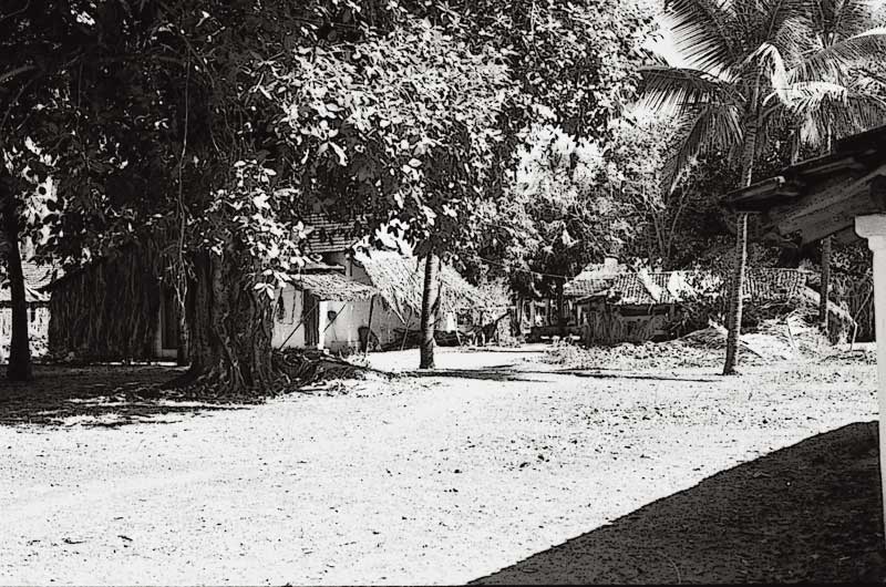 Kotarski Calangute PeterH