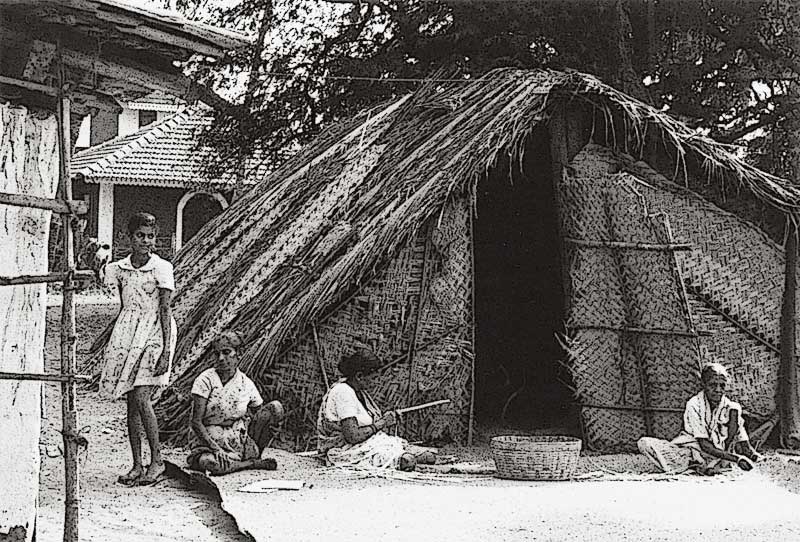 Kotarski Calangute Baga SH